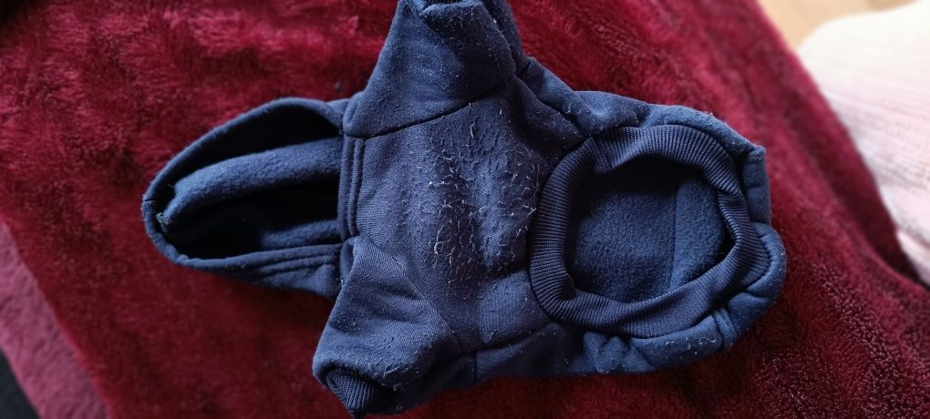 2 camisolas para cão. Uma azul e a outra castanho. Com algum uso