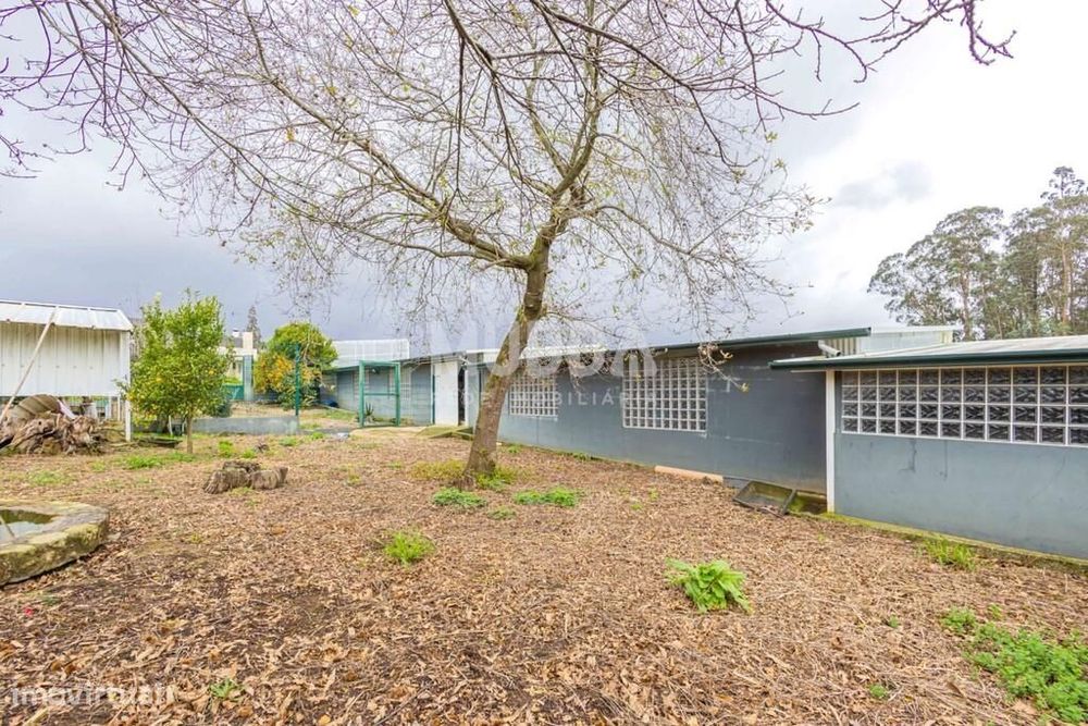 Terreno com Benfeitorias