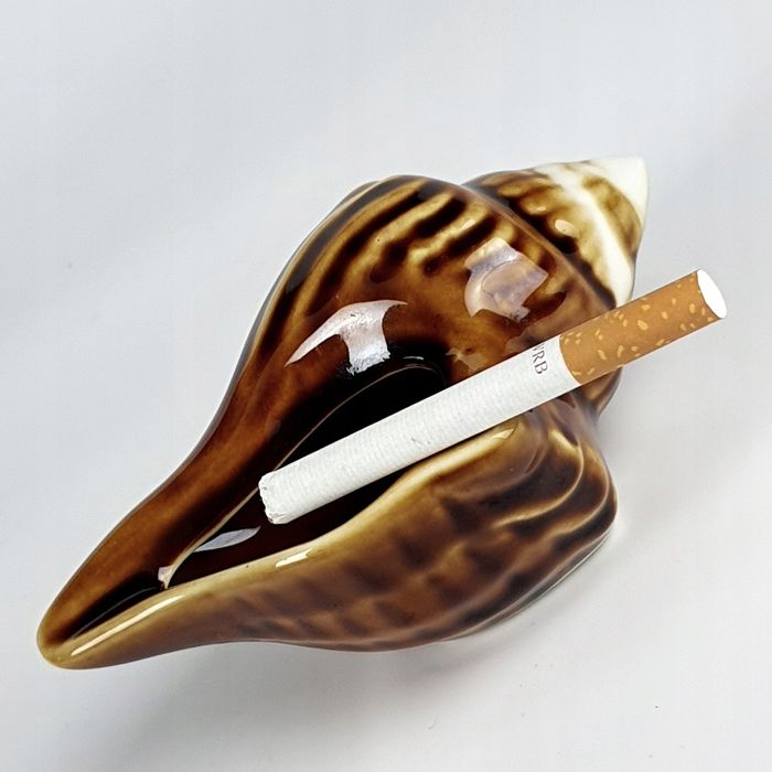 Muszla Piękna Chińska Popielniczka