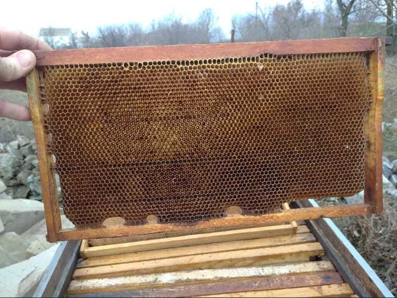 Рамки пчелиные сушь  145мм и Дадан