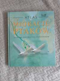 Migracje ptaków. Atlas. Szlakami skrzydlatych podróżników
