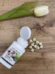 Czosnek Nutrilite odporność
