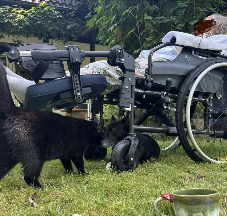 Wózek inwalidzki specjalny VERMEIREN D200.30