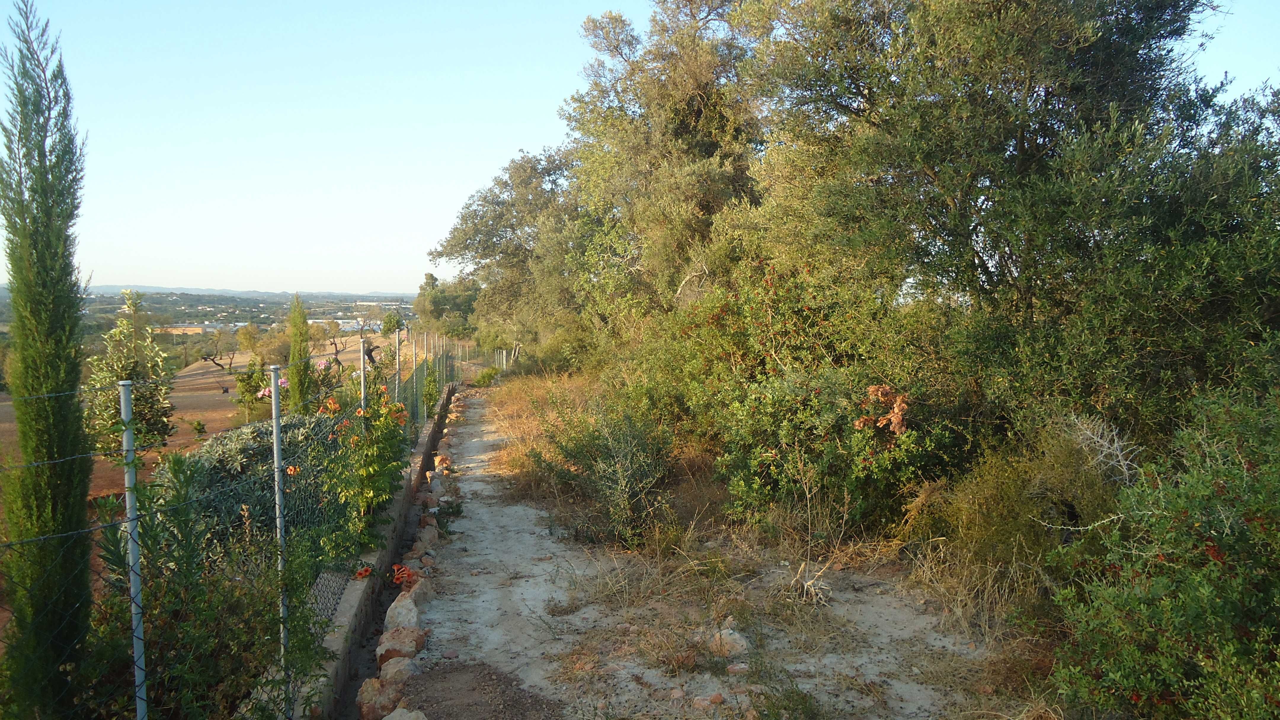 Terreno na Fuseta - Ria Formosa - Ilha de Armona - Algarve