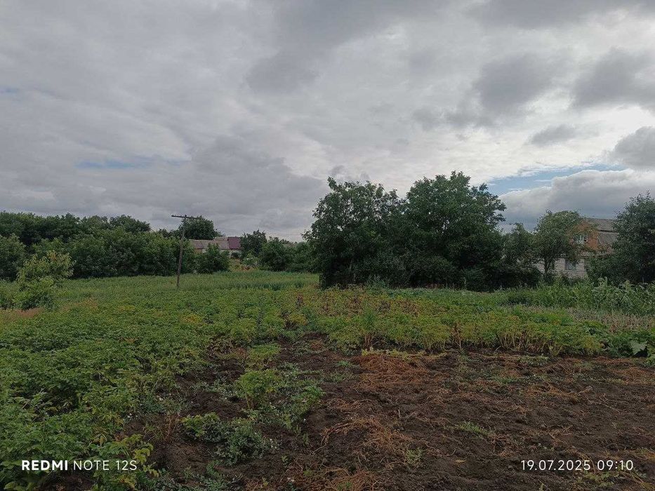 Продаж будинку в Тетіїві