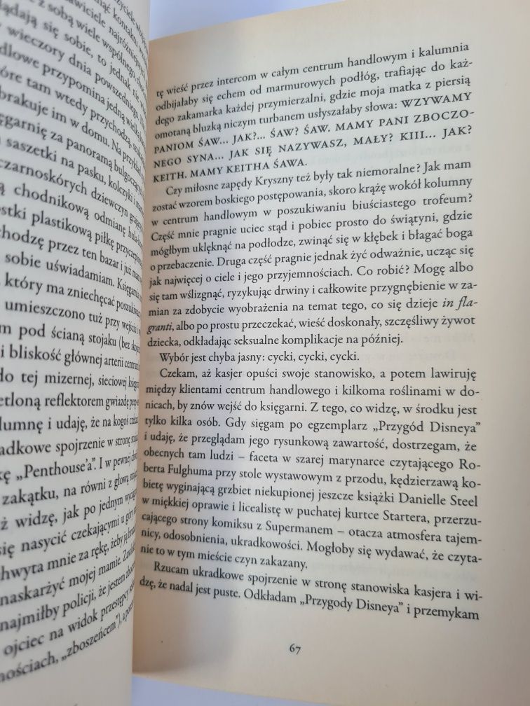 Błękitny chłopiec - Rakesh Satyal