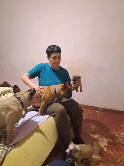 Отдам щенков в хорошие руки