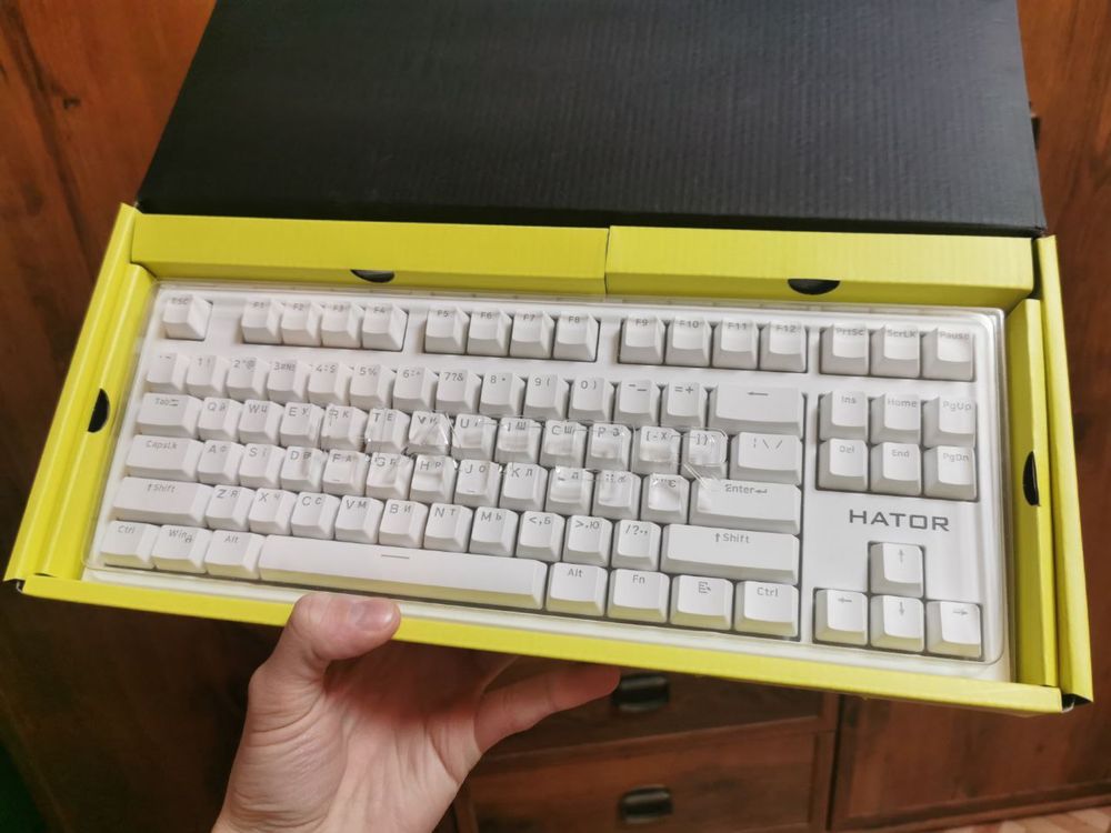 Клавіатура Hator Skyfall TKL Pro
