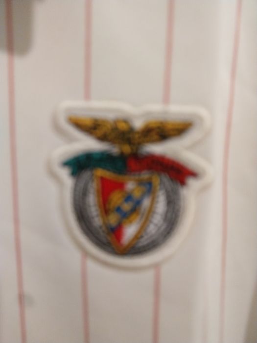 Camisola Casual S.L.Benfica