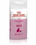 ROYAL CANIN Cat Mother & Babycat Professional 10 kg Promocja