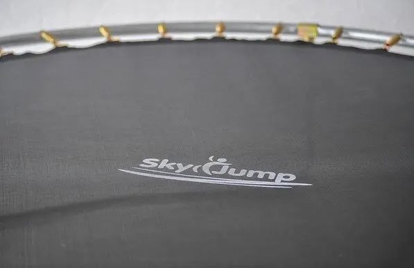Батут SkyJump 312 см. з захисною сіткою і драбинкою