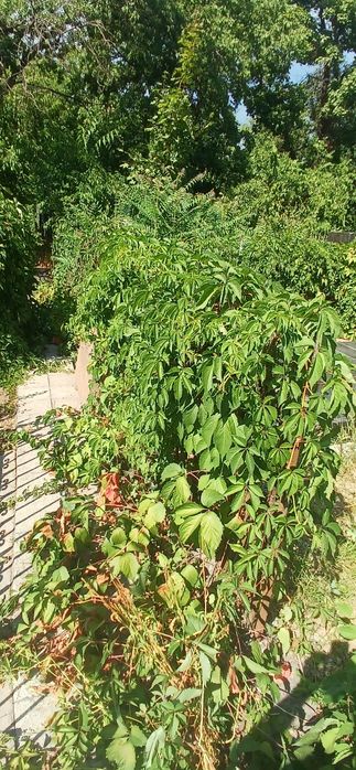 Уборка захоронений