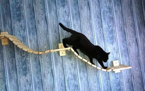 mostek dla kota na ścianę 90cm ,meble dla kota, legowisko,