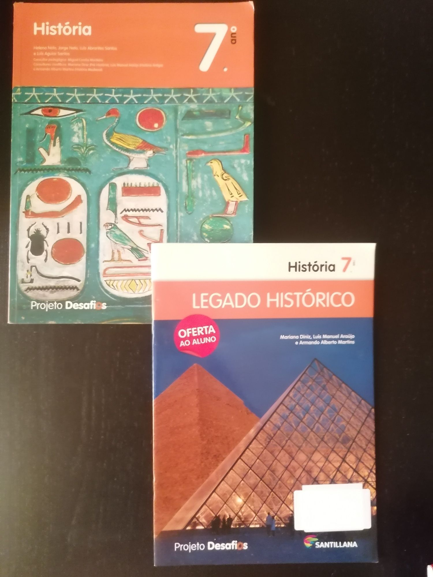 Manuais e livros de fichas 7° ano excelente estado