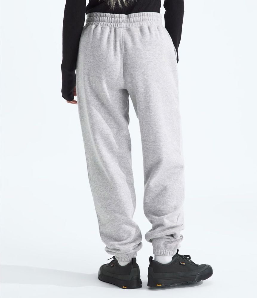 Штани жіночі The North Face Women’s Сore sweatpant, NF0A890HGAV, S