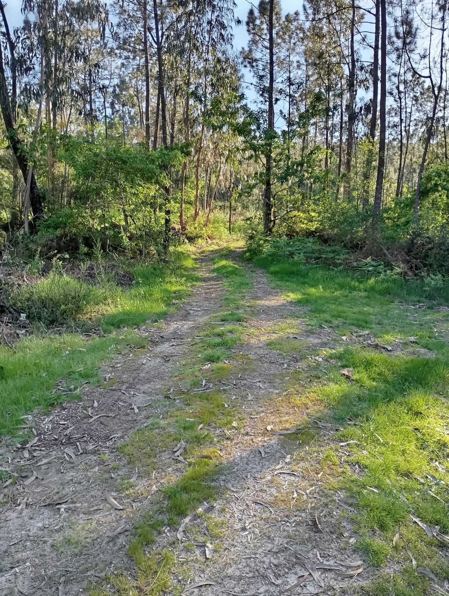 Terreno rústico com área de 17.000m2