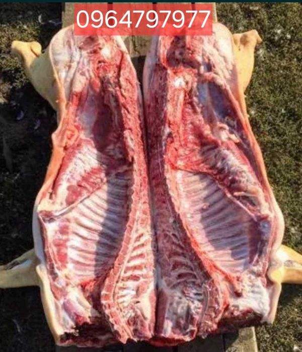 Свинина напродаж