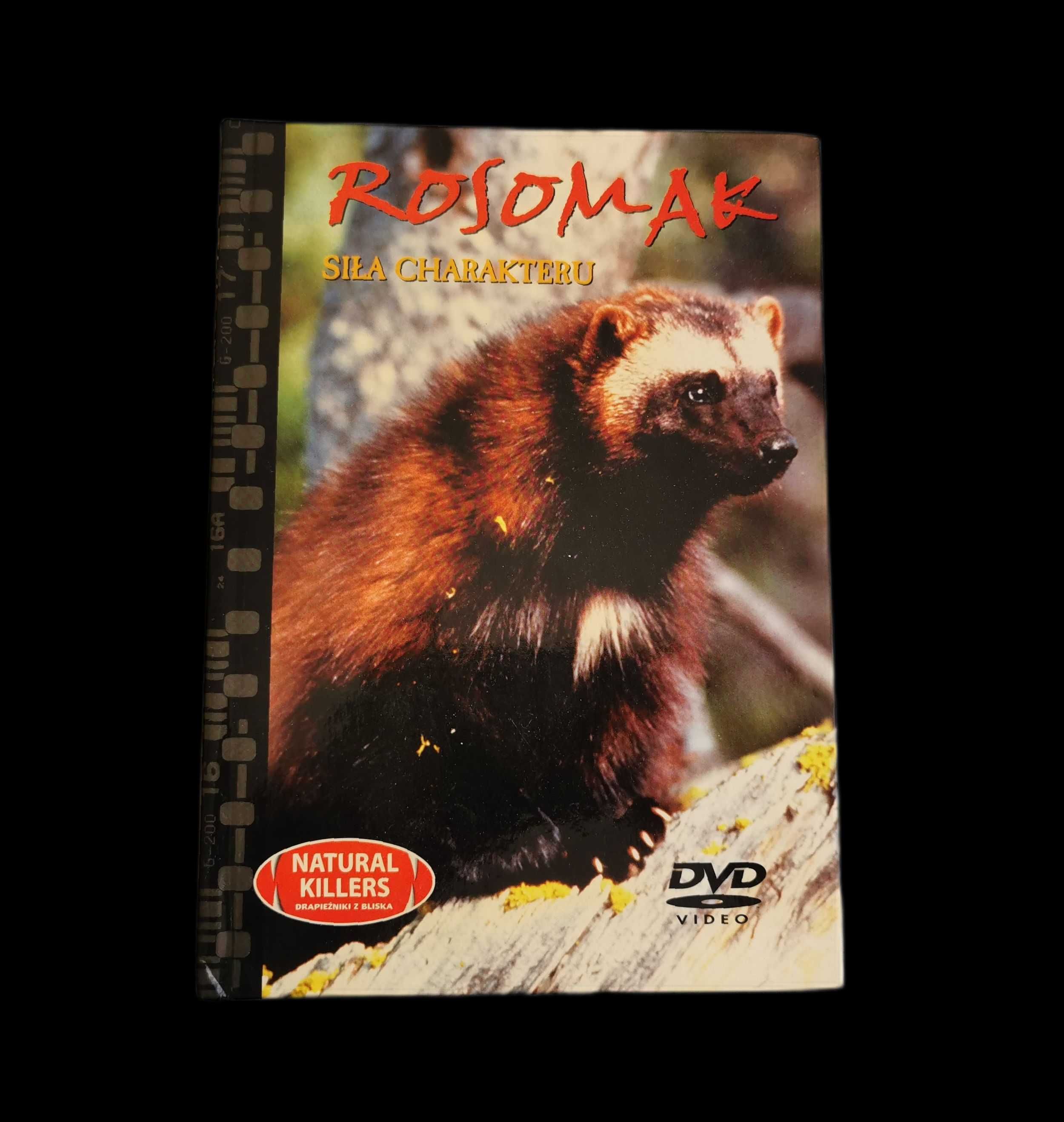 Film Dokumentalny Rosomak Siła Charakteru