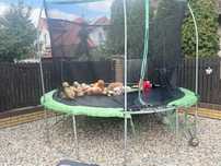 Trampolina uzywana