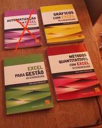 Cadernos de Excel - Adelaide Carvalho