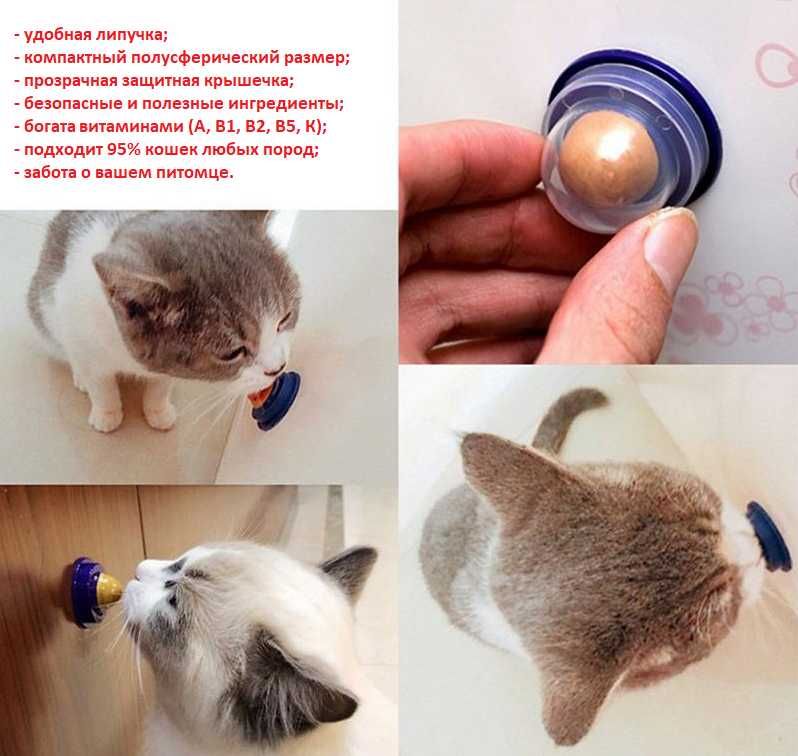 Конфета-приманка для кошек/палочки для чистки зубов (полезный состав)