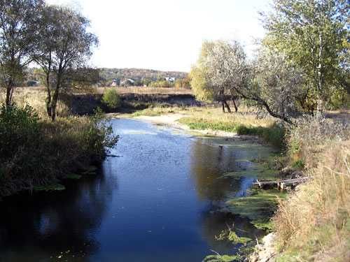 Продам участок 12соток Большая Даниловка  лес  река рядом Дубровский