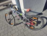 Rower Cube Team 240 dziecięcy