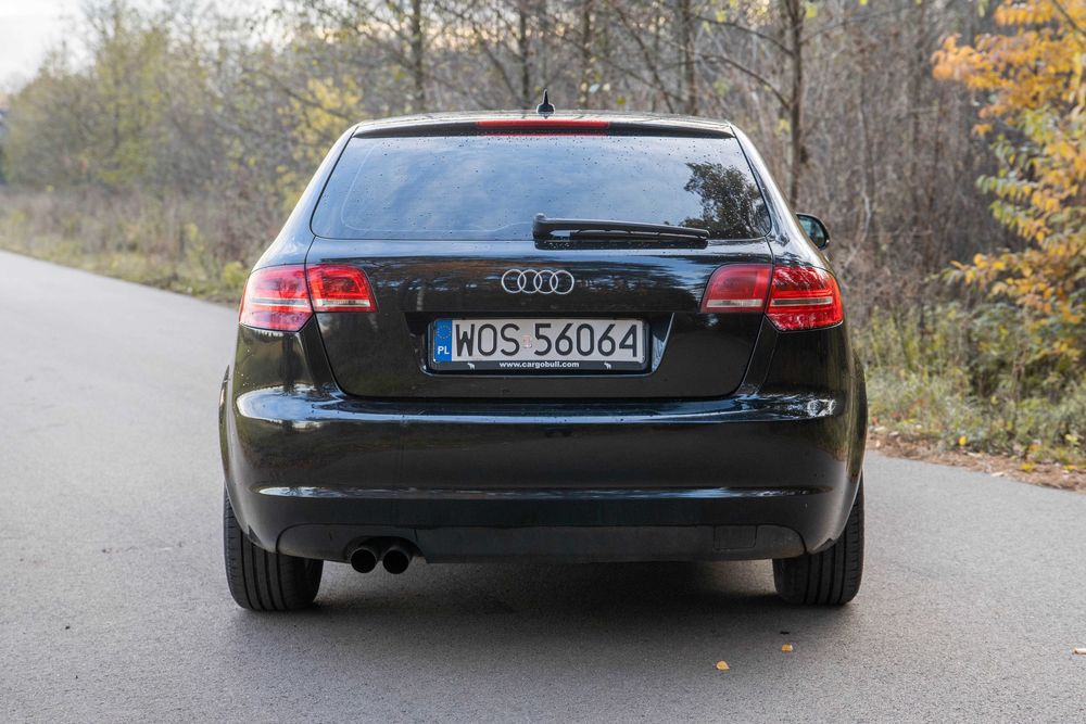 Audi A3 8P 1.9TDI