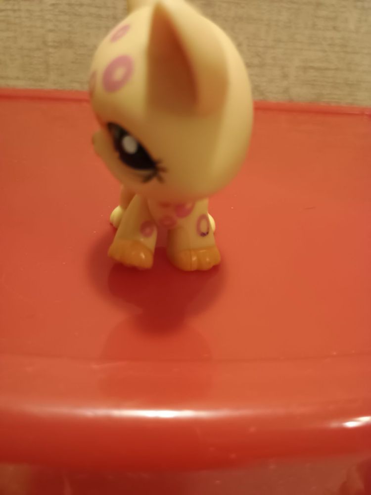 Littlest pet shop kot shorthair kociak kitten cat LPS kolekcjonerska