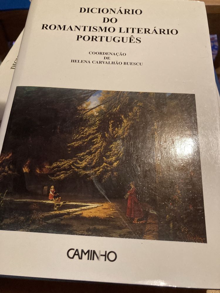 Dicionário do Romantismo Literário Portugues