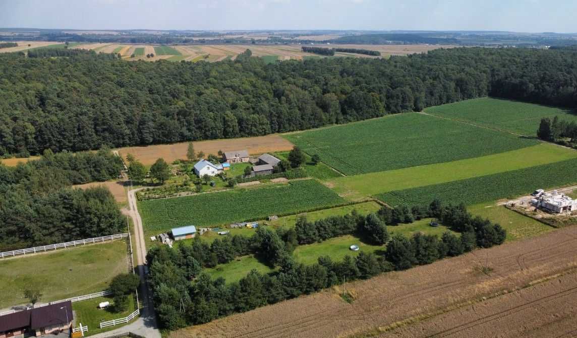 Działka Budowlana 4000m2 Uzbrojona  Bez Pośredników