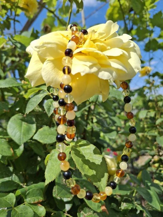 Настоящий янтарь!