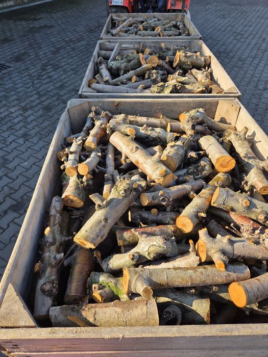 Drewno opałowe kominkowe