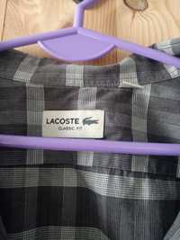 Koszula męska Lacoste