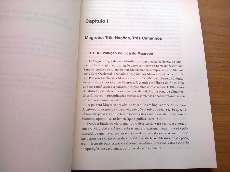 Magrebe, Islamismo e a Relação Energética de Portugal