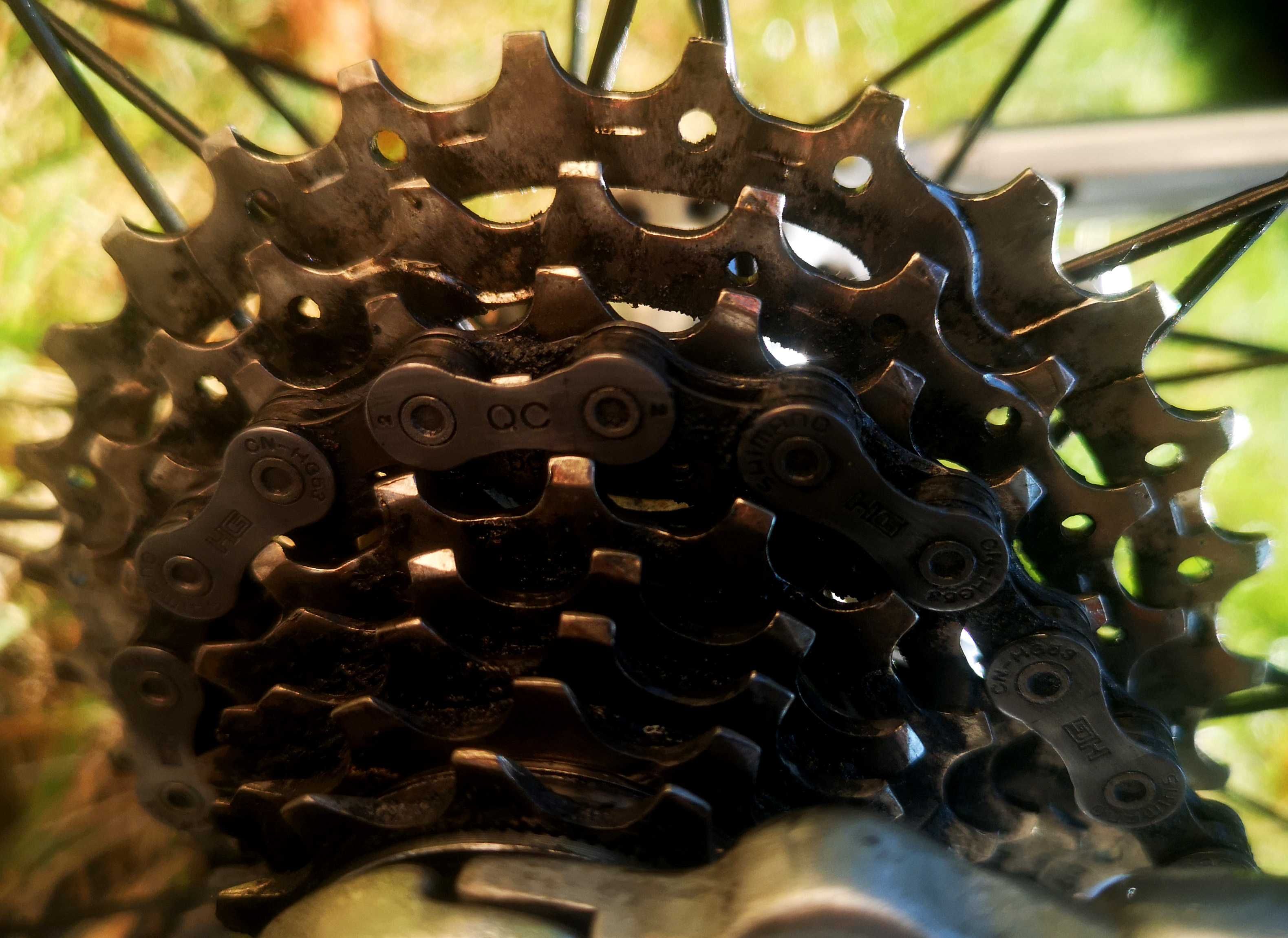 Duży rower szosowy Terk na Shimano Koła 28 Carbon