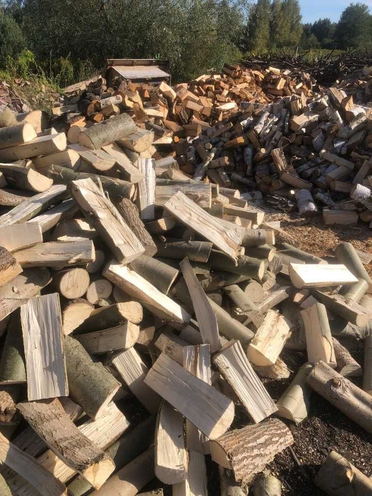 Drewno kominkowe,opałowe