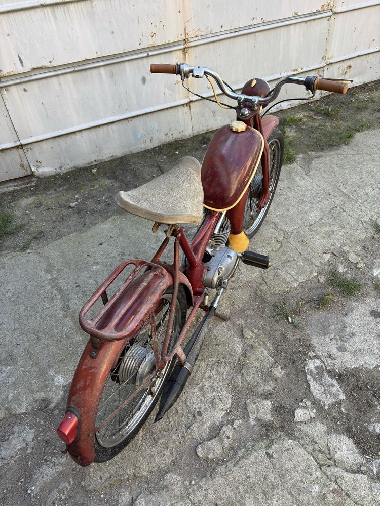 Komar 231 w oryginale