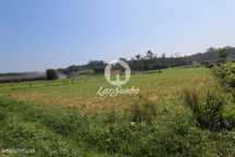 Terreno agrícola com 5000 m2, em Fradelos Vila Nova de Famalicão