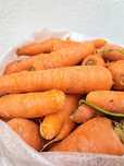 Cenouras baratas
