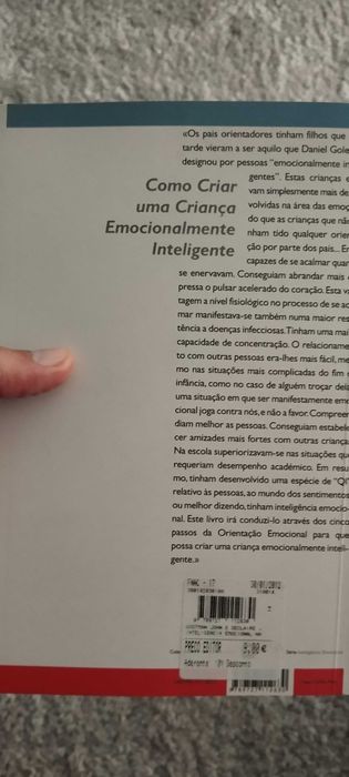 A inteligência emocional na educação