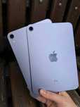 iPad Mini 6 256GB Wi-Fi Purple
