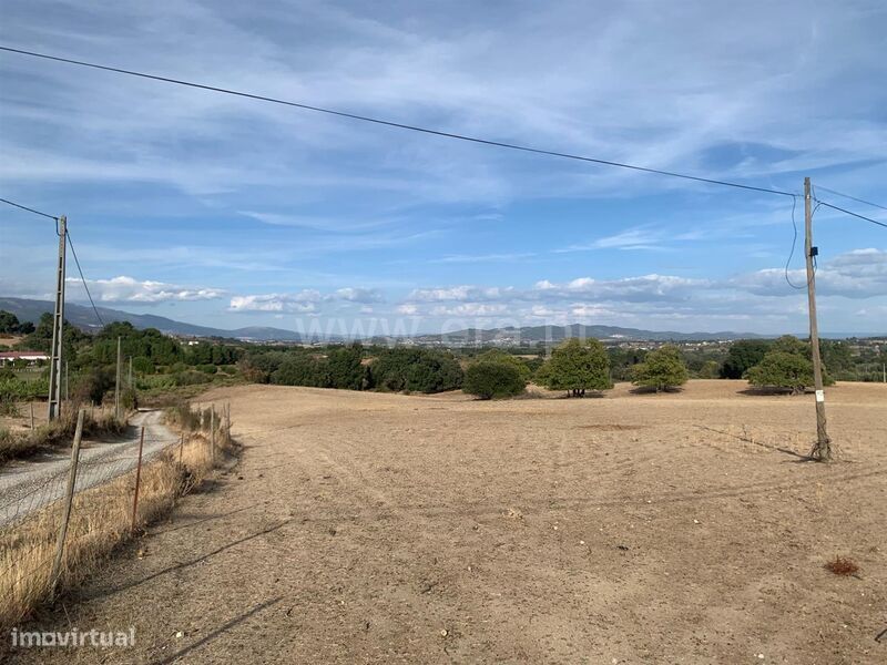 Terreno / Fundão, Freixial
