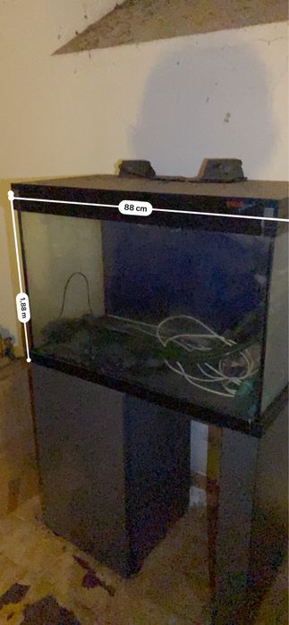 Aquário EHEIM Professional + Filtro externo EHEIM – Completo