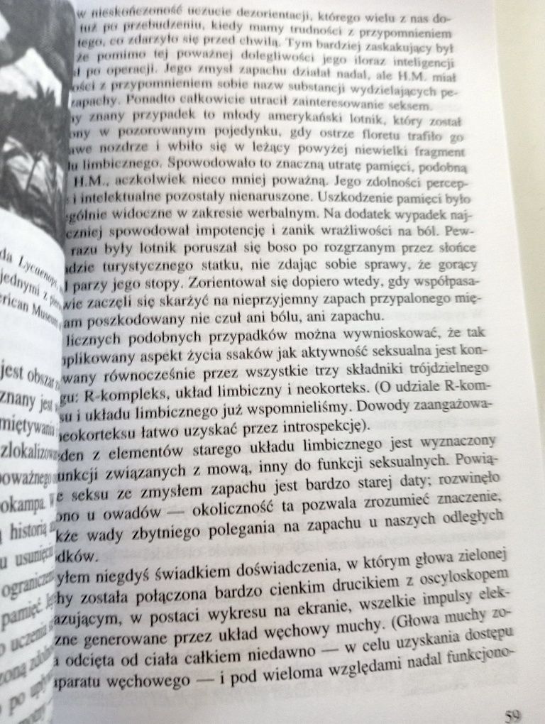 Rajskie smoki. Rozważania o ewolucji ludzkiej - Sagan