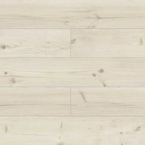 Panele podłogowe Outlet SWISS KRONO Pinia Pamukkale D4913 AC5/8 mm