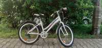 Kross JASPER JR 24"