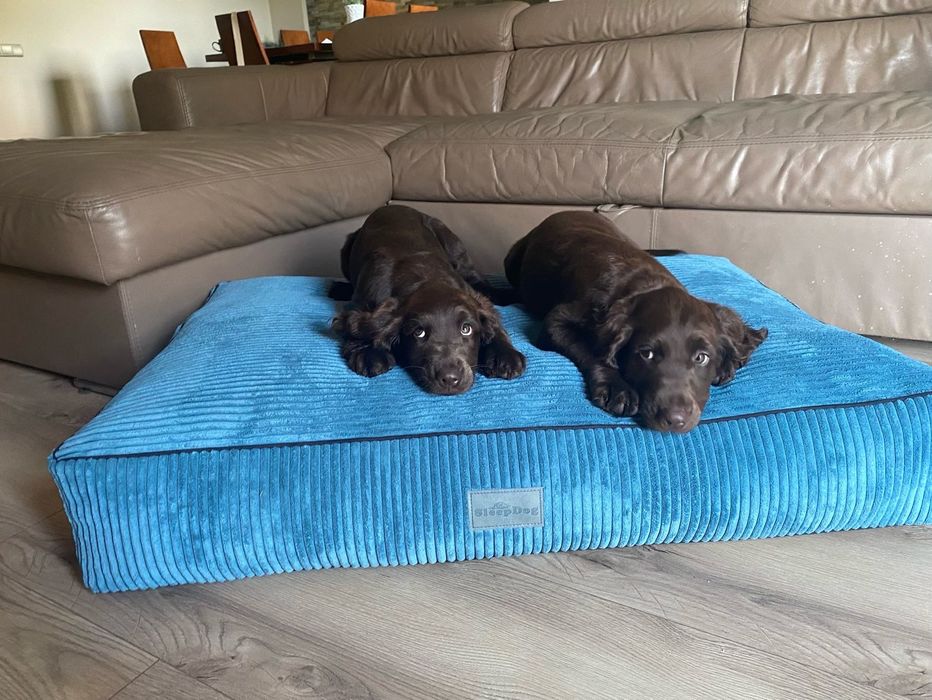 Poduszka legowisko rozmiar XL