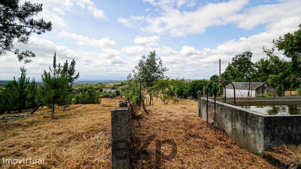 Quinta, Tábua, Coimbra, Portugal