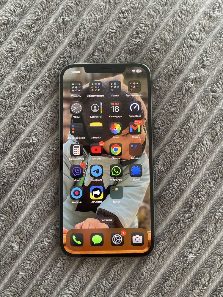 IPhone 12 Pro Max 256 GB